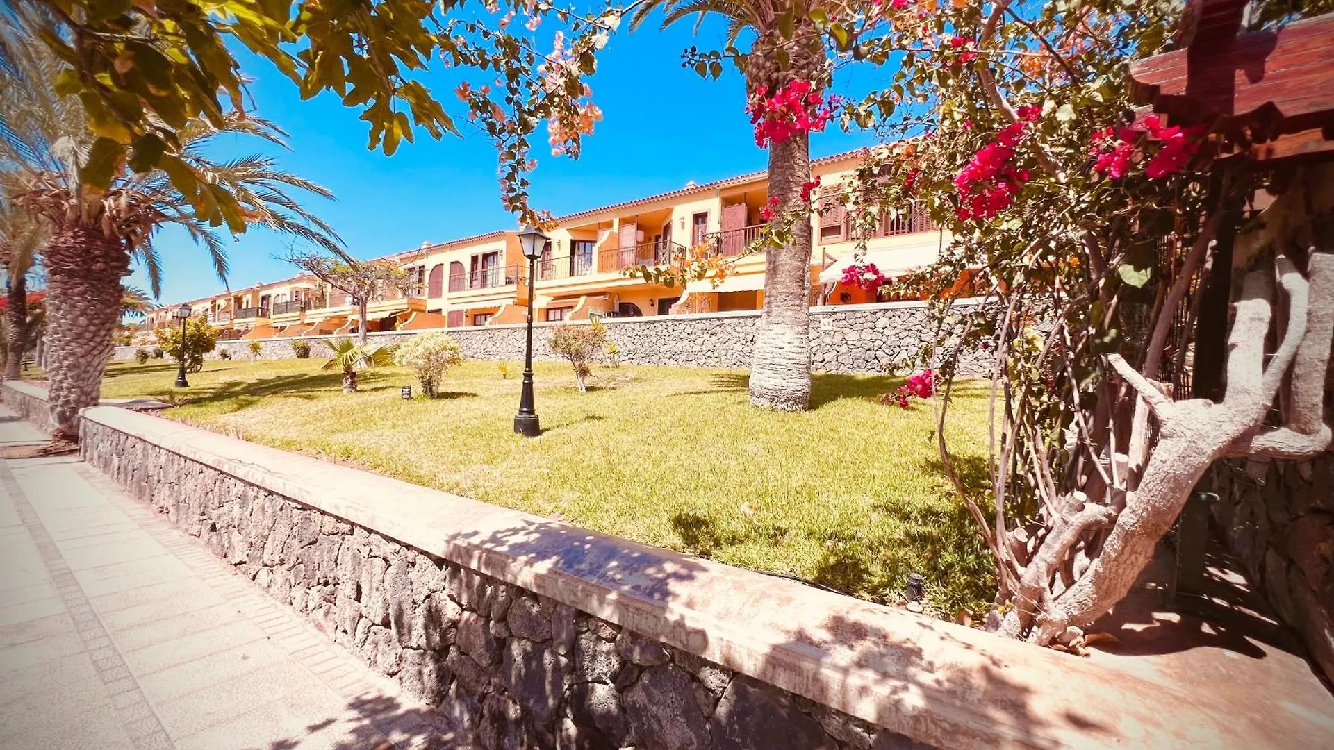 Oasis Of Tranquillity Apartment Tenerife Costa Del Silencio Spain